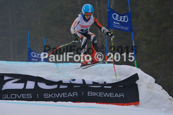 DSC U12 Finale 2015