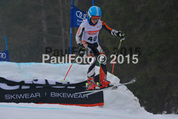 DSC U12 Finale 2015
