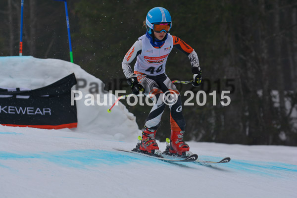 DSC U12 Finale 2015