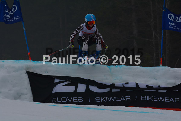DSC U12 Finale 2015