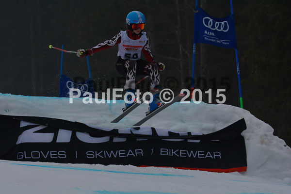 DSC U12 Finale 2015