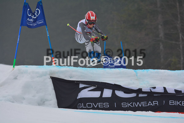 DSC U12 Finale 2015