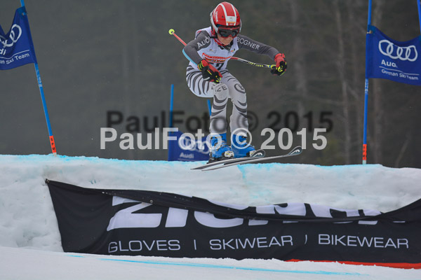 DSC U12 Finale 2015