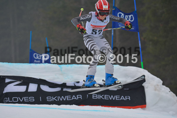 DSC U12 Finale 2015