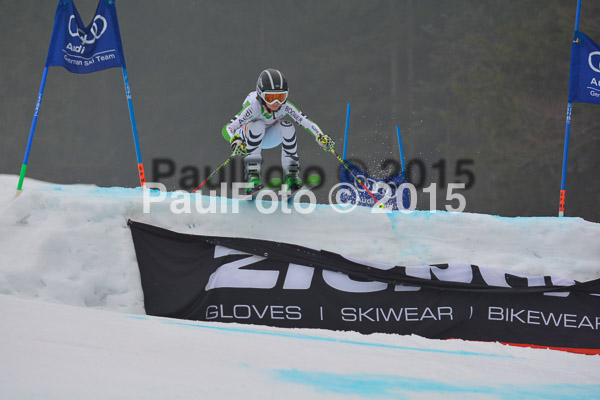 DSC U12 Finale 2015