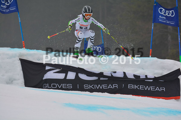 DSC U12 Finale 2015