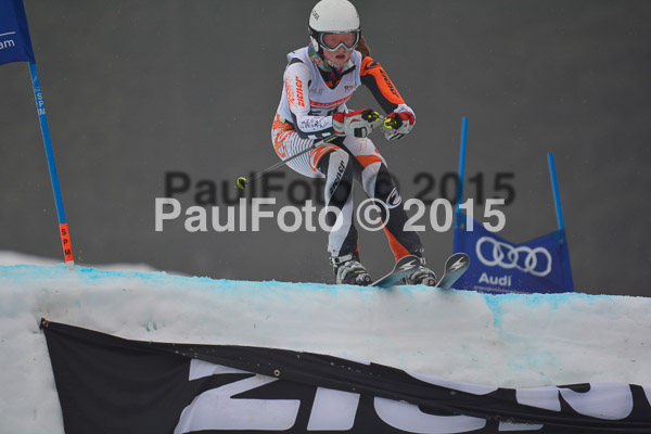 DSC U12 Finale 2015