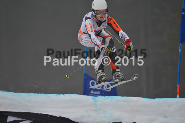 DSC U12 Finale 2015