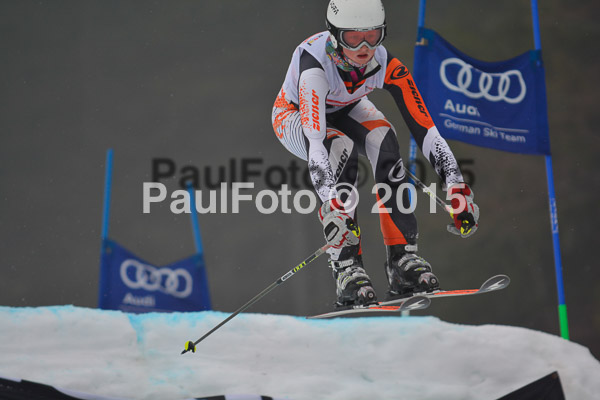 DSC U12 Finale 2015