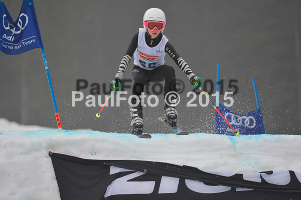 DSC U12 Finale 2015