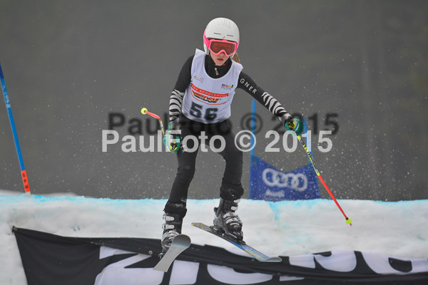DSC U12 Finale 2015