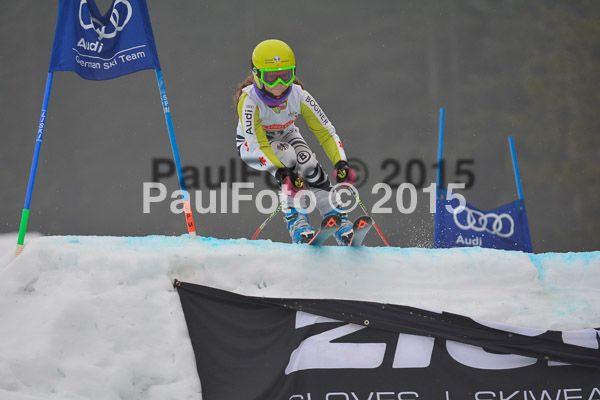 DSC U12 Finale 2015