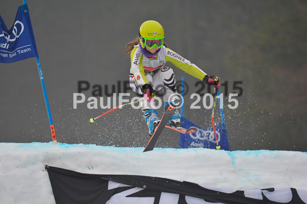 DSC U12 Finale 2015