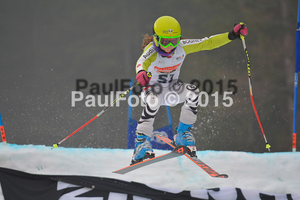 DSC U12 Finale 2015