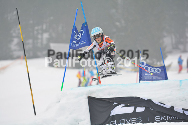 DSC U12 Finale 2015