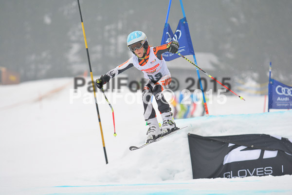 DSC U12 Finale 2015
