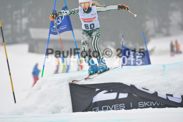 DSC U12 Finale 2015