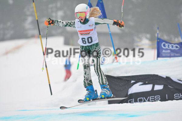 DSC U12 Finale 2015