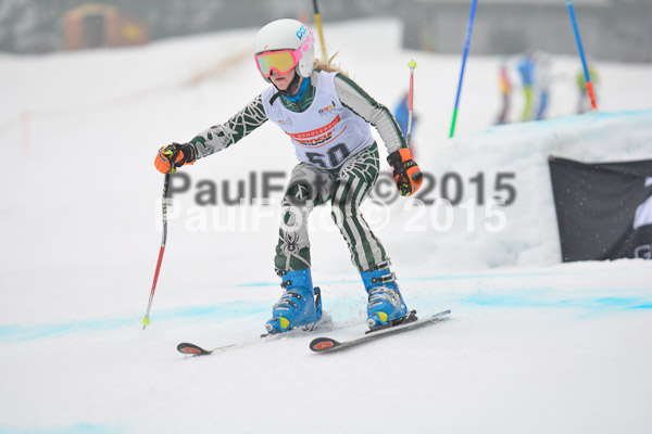 DSC U12 Finale 2015