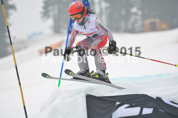 DSC U12 Finale 2015