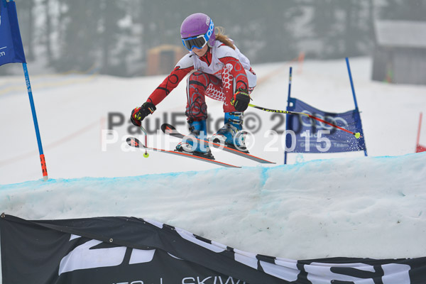DSC U12 Finale 2015