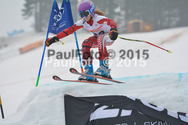 DSC U12 Finale 2015