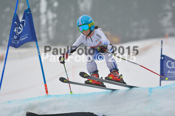 DSC U12 Finale 2015