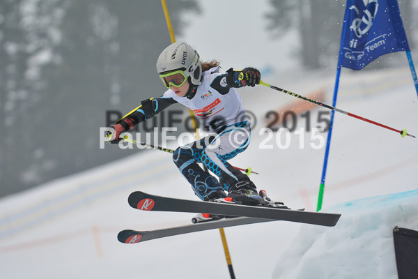 DSC U12 Finale 2015