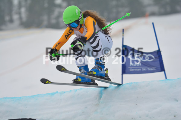 DSC U12 Finale 2015