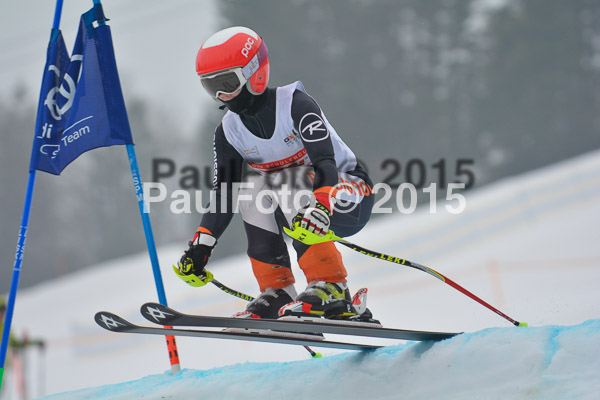 DSC U12 Finale 2015
