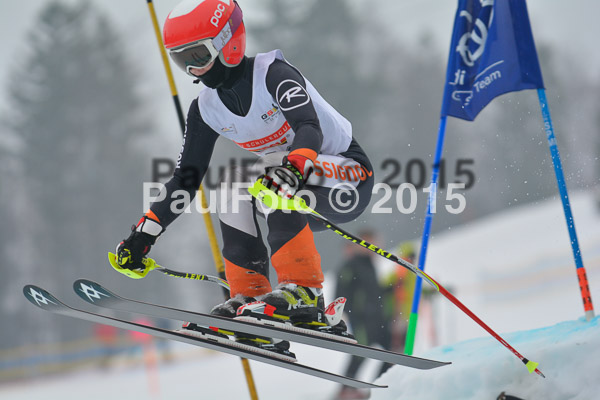 DSC U12 Finale 2015