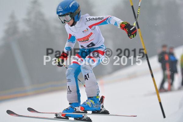 DSC U12 Finale 2015