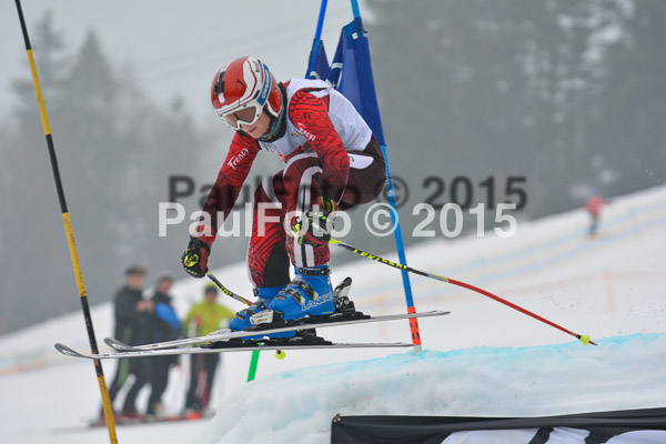 DSC U12 Finale 2015