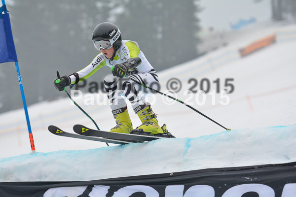 DSC U12 Finale 2015
