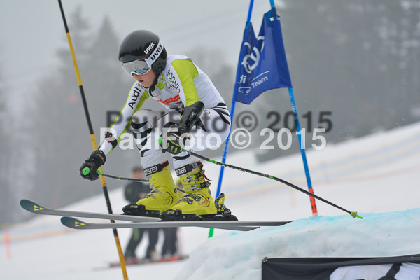 DSC U12 Finale 2015