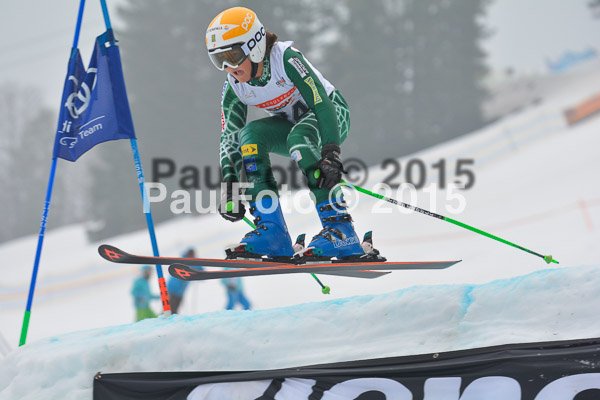 DSC U12 Finale 2015