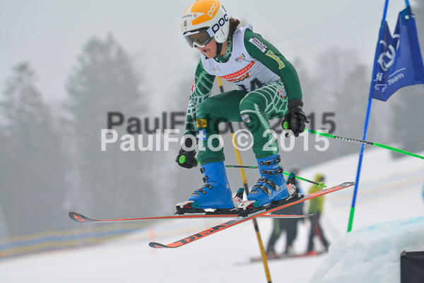 DSC U12 Finale 2015