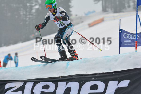 DSC U12 Finale 2015