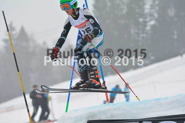 DSC U12 Finale 2015