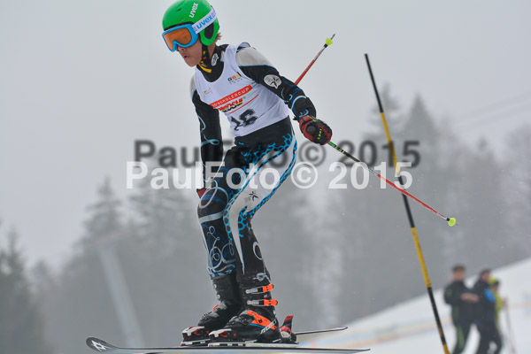 DSC U12 Finale 2015