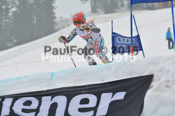 DSC U12 Finale 2015