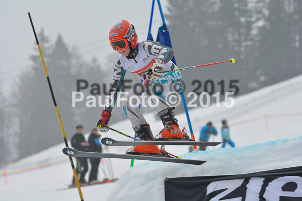 DSC U12 Finale 2015