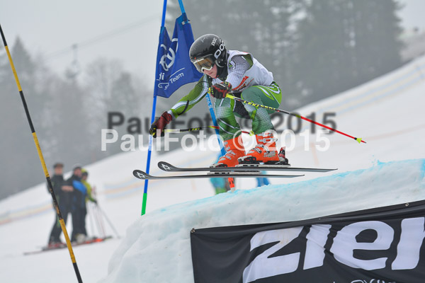 DSC U12 Finale 2015