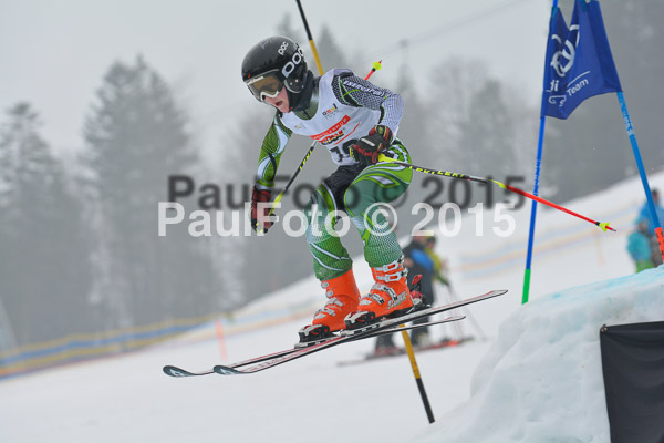 DSC U12 Finale 2015