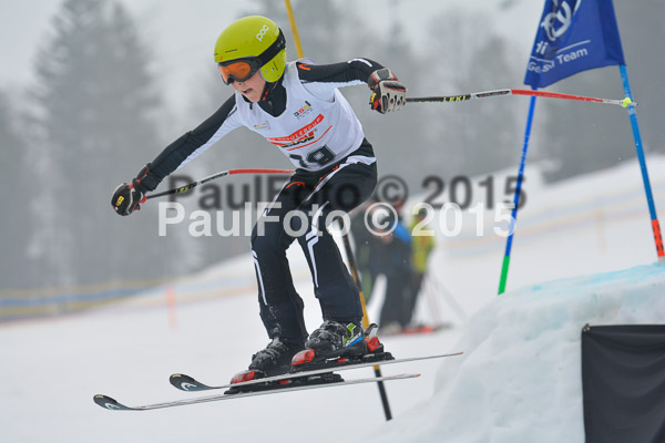 DSC U12 Finale 2015
