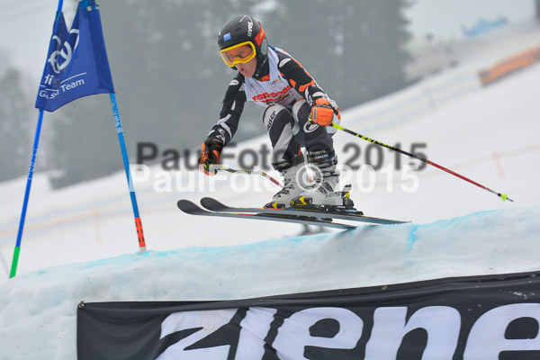 DSC U12 Finale 2015