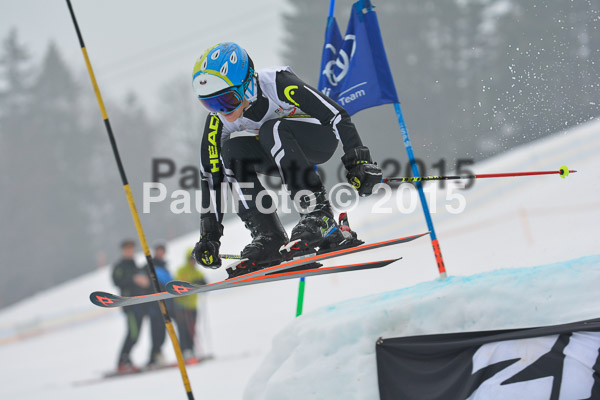 DSC U12 Finale 2015