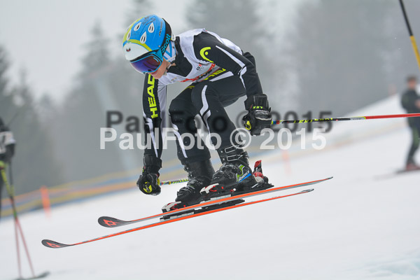 DSC U12 Finale 2015