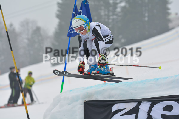 DSC U12 Finale 2015