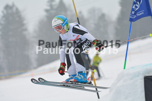 DSC U12 Finale 2015